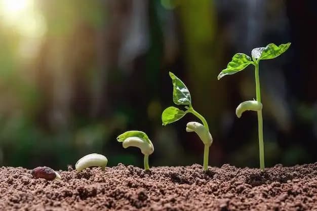 Germinarea slabă a semințelor de flori și legume