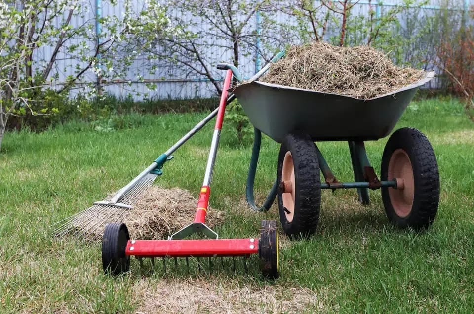 Pregătirea solului primăvara: ghid complet pentru grădinărit