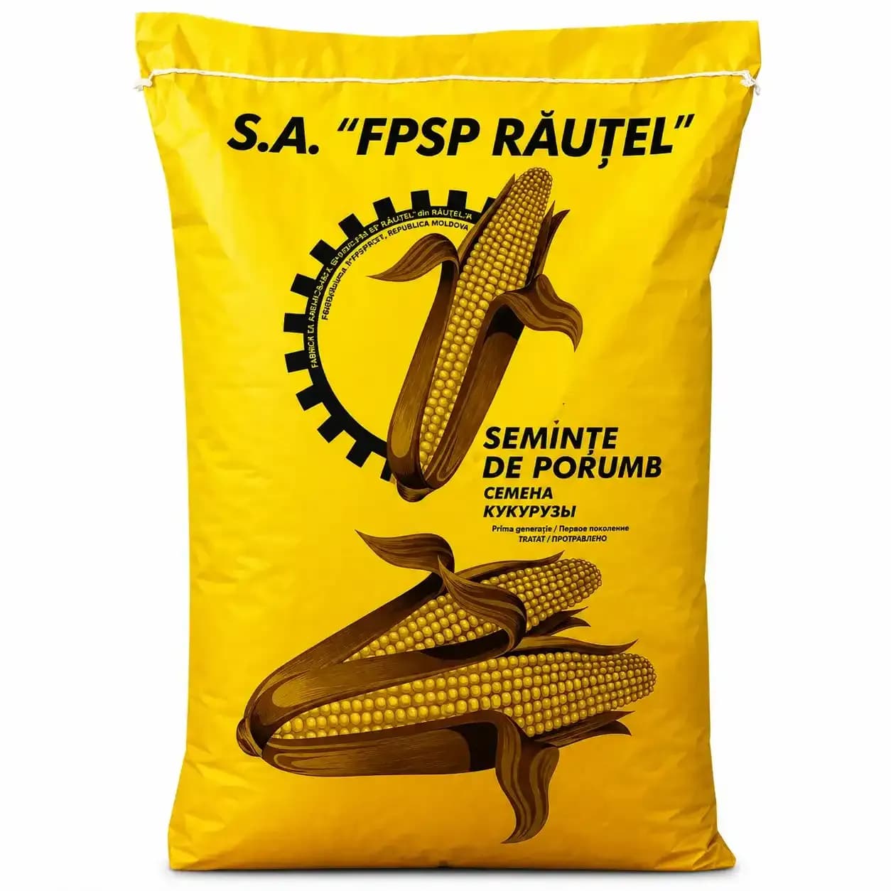 Porumb Răuțel P-458 FR 2 1