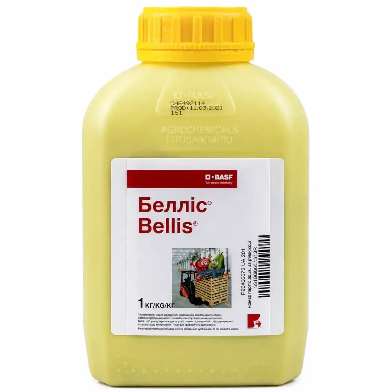 Bellis, 1 kg 1