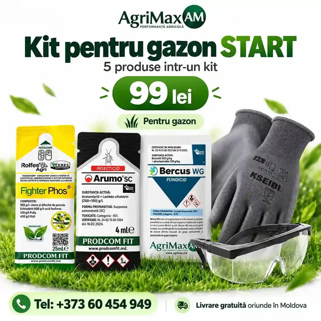 Kit Gazon Start 30 m² – AgriMax 1