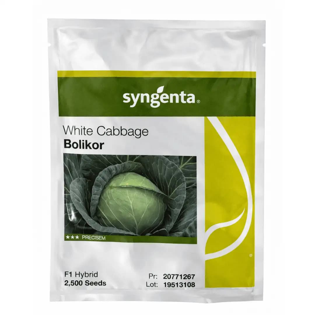 Semințe de Varză Bolikor F1, 2500 semințe 1