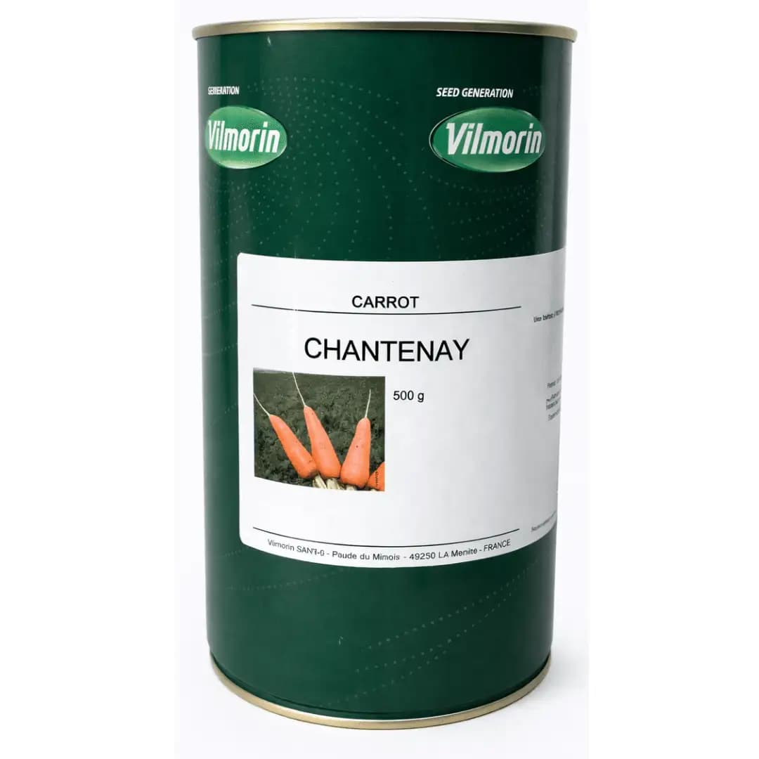 Semințe de morcov Chantenay, 500 gr 1