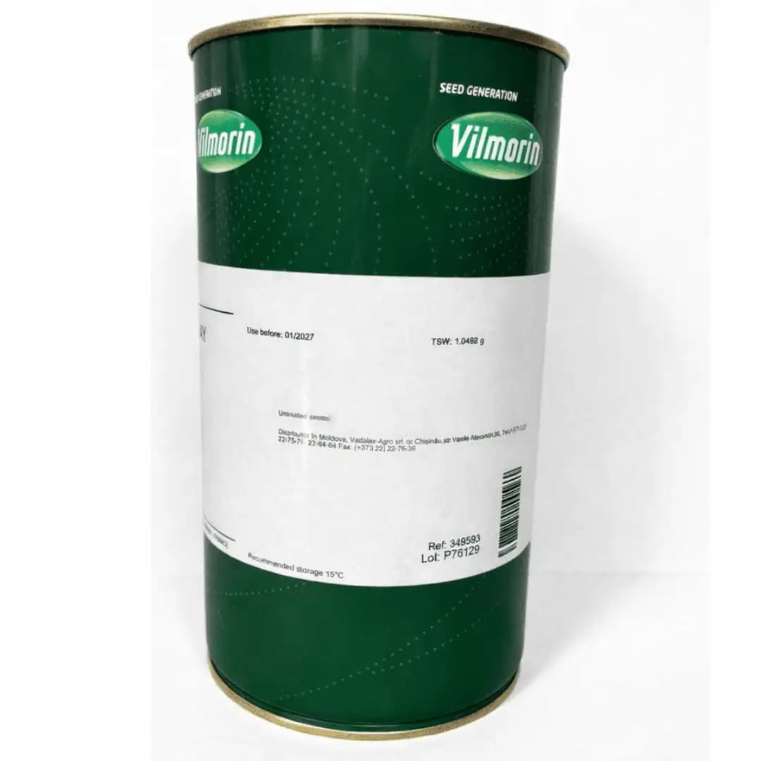 Semințe de morcov Chantenay, 500 gr 2