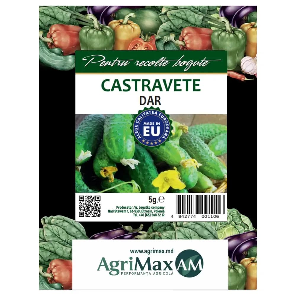 Semințe de Castravete - Dar, 5 g 1
