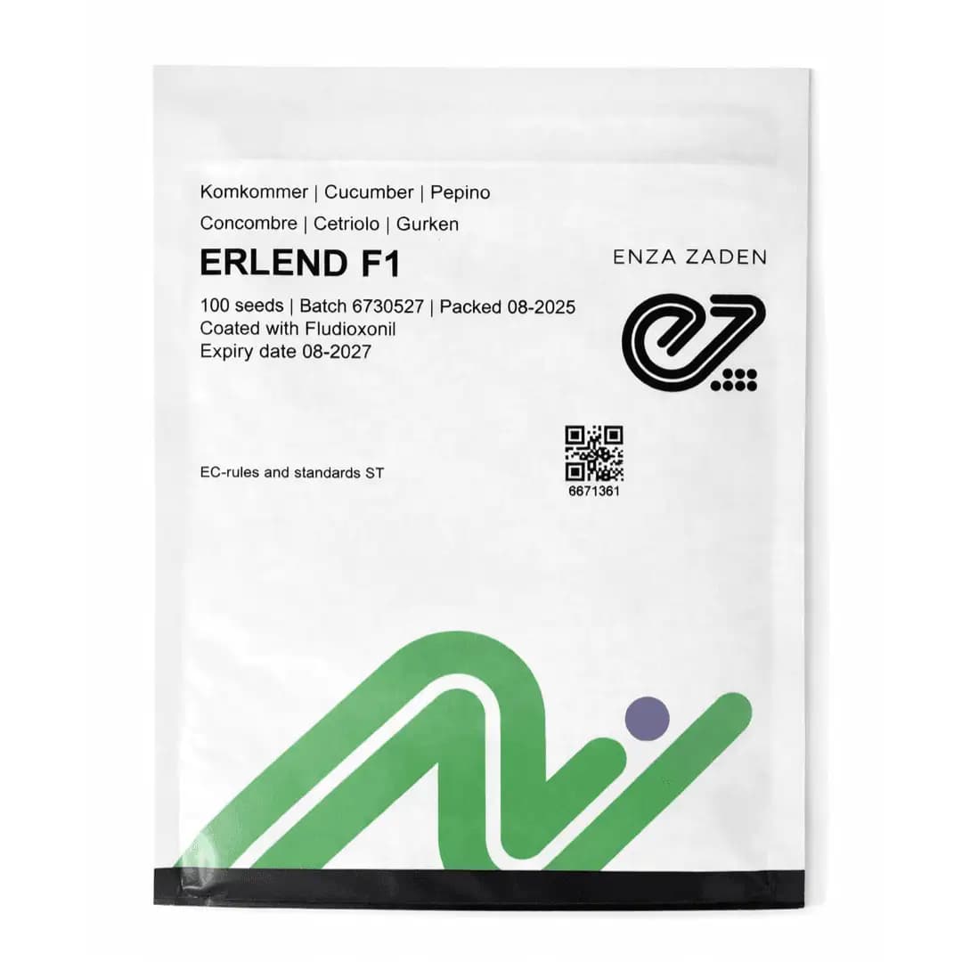 Semințe de castraveți Erlend F1, 100 semințe 1