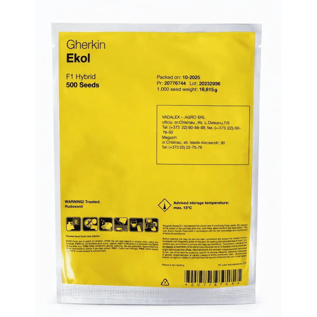 Semințe de castravete Ekol F1, 500 semințe 2
