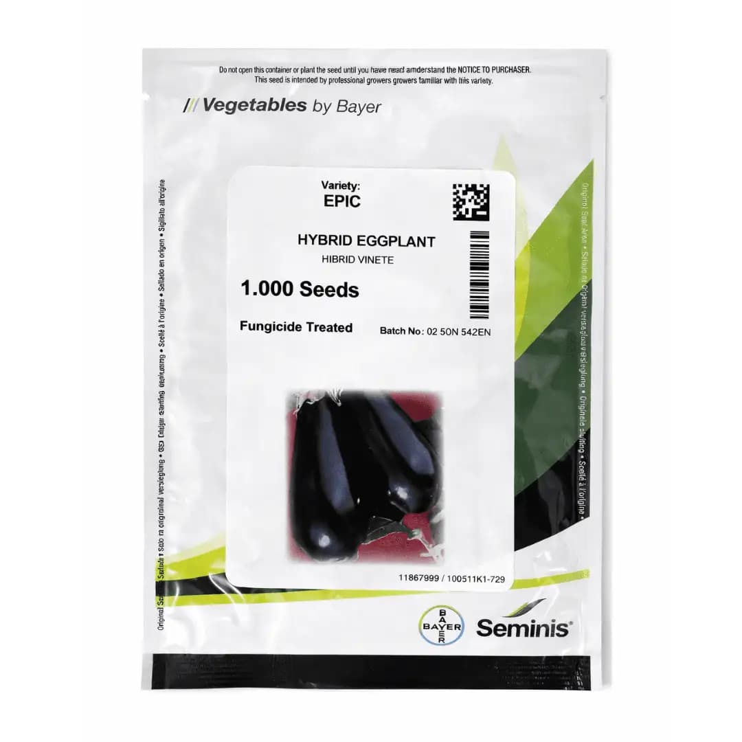 Semințe de vinete Epic F1, 1000 semințe 1