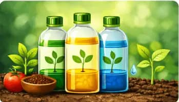 Foliar