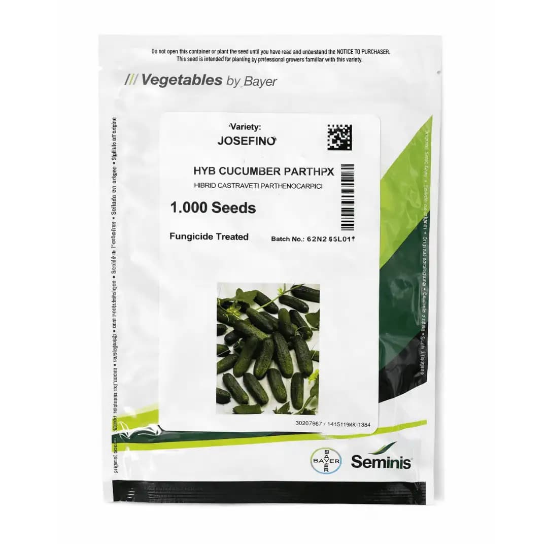 Semințe de castraveți Josefino, 1000 semințe 1