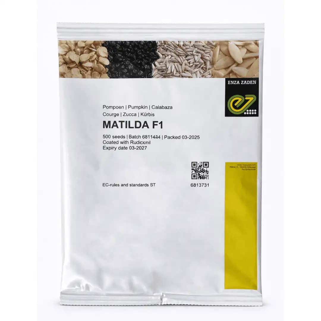 Semințe de dovleac Matilda F1, 500 semințe 1