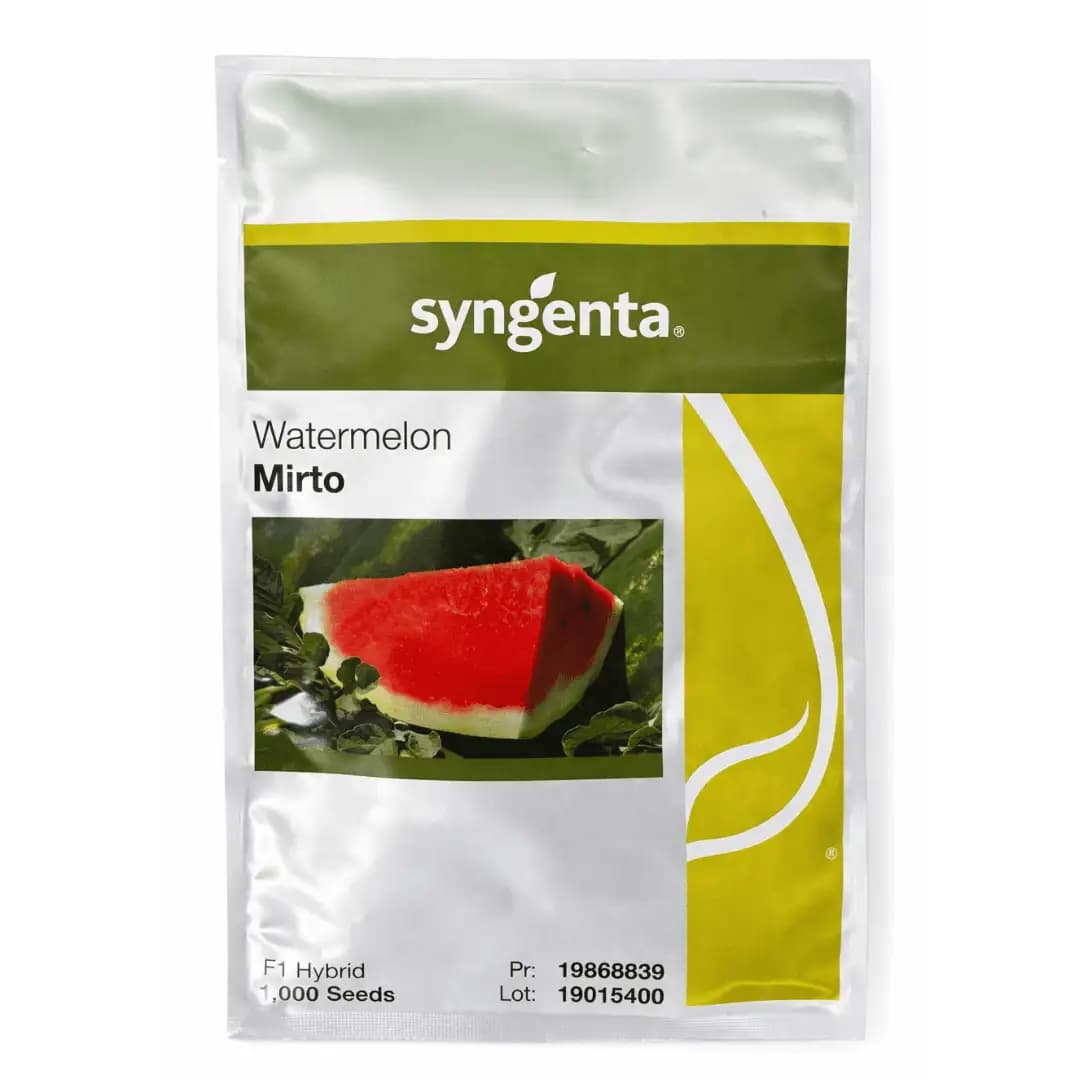 Semințe de pepene verde Mirto F1, 1000 semințe 1
