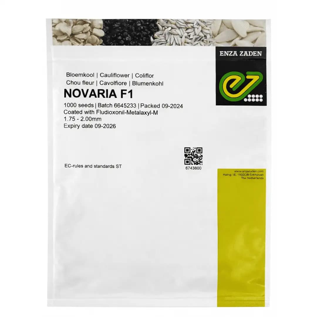 Semințe de conopidă Novaria F1, 1000 semințe 1