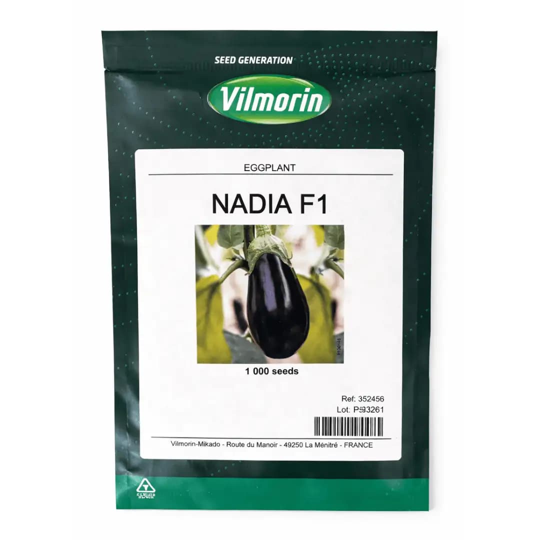 Semințe de vinete Nadia F1, 1000 semințe 1