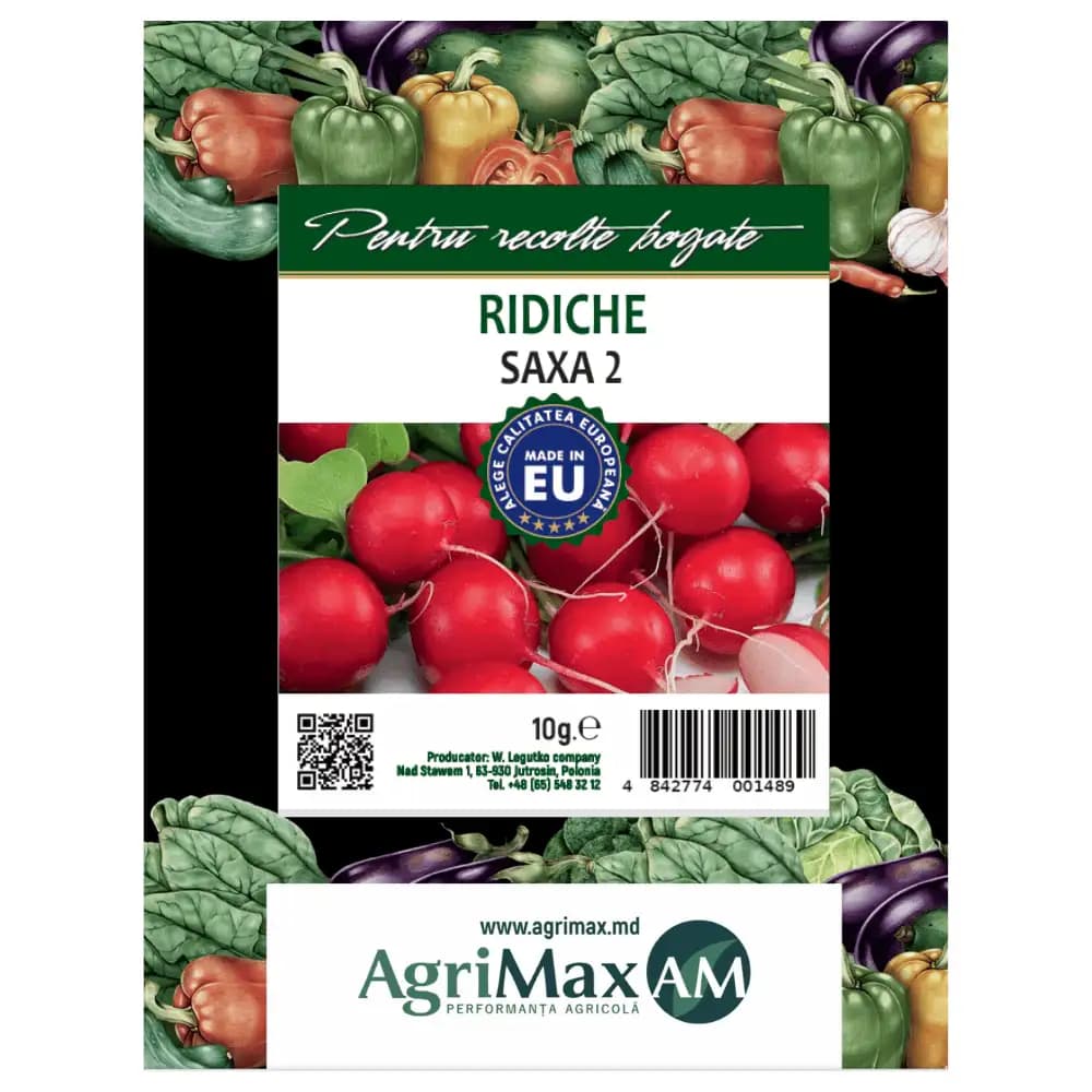 Semințe de Ridihie -  Saxa 2 1
