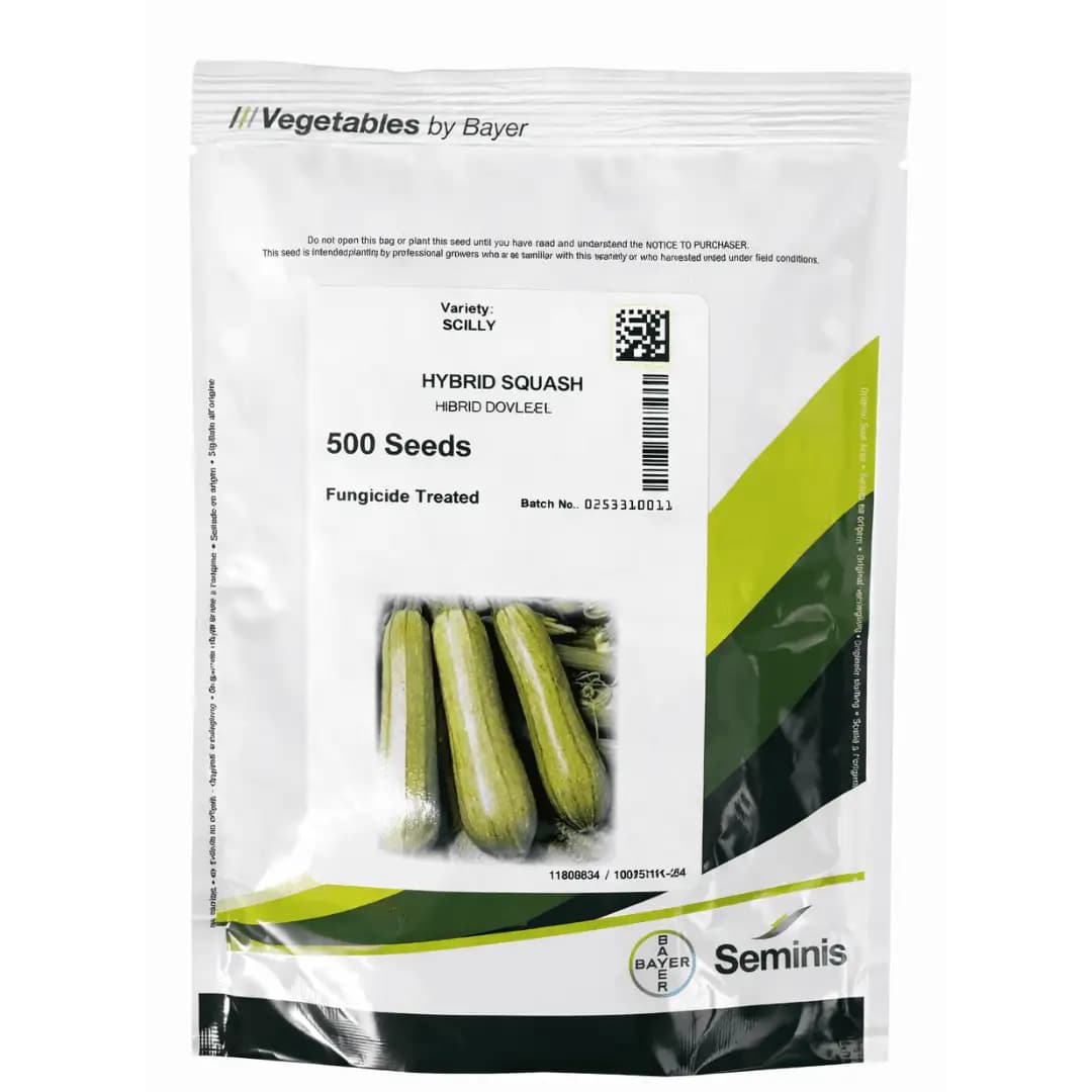 Semințe de zucchini Scilly F1, 500 semințe 1