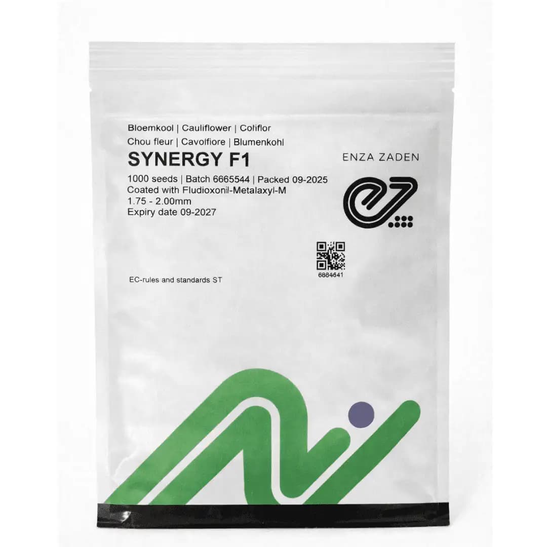 Semințe de conopidă Synergy F1, 1000 semințe 1