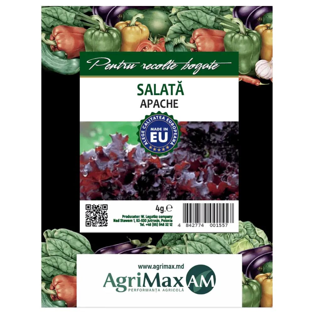 Semințe de Salată - Apache, 4 gr 1