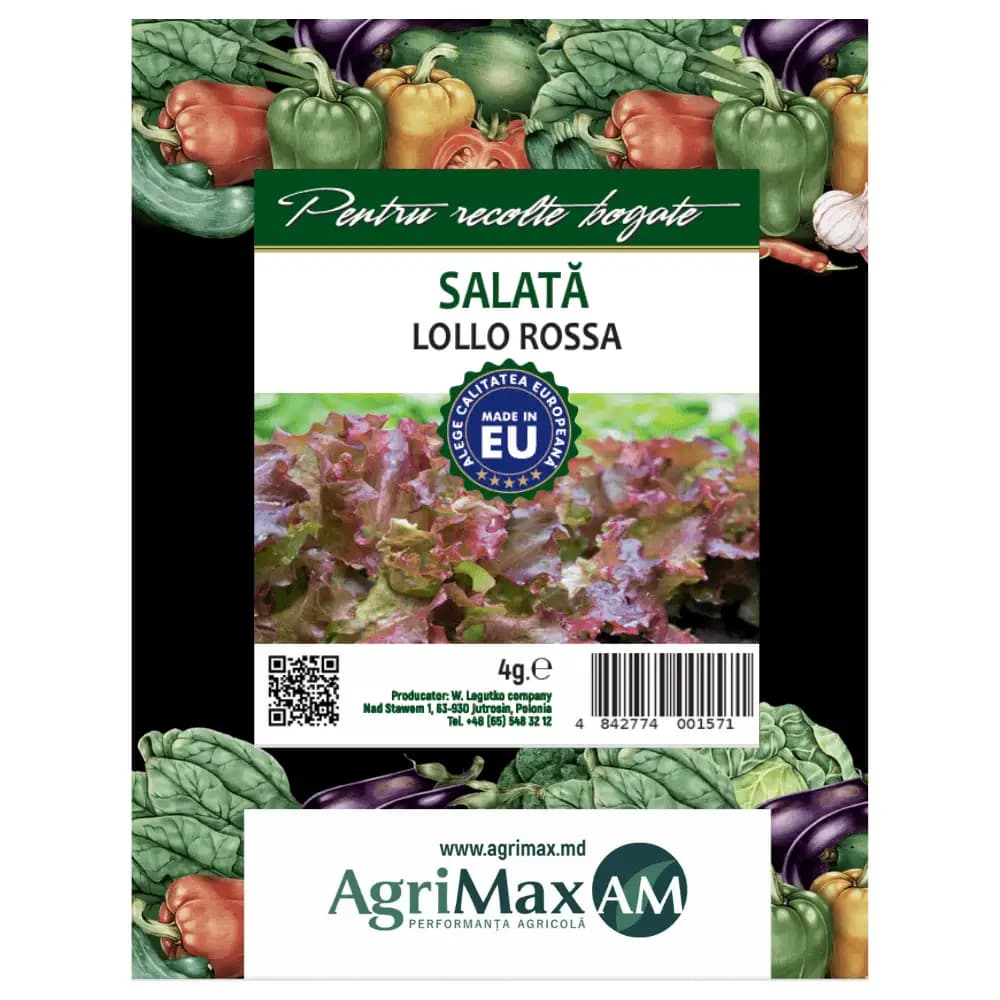 Semințe de Salată - Lollo Rosso, 4 gr 1