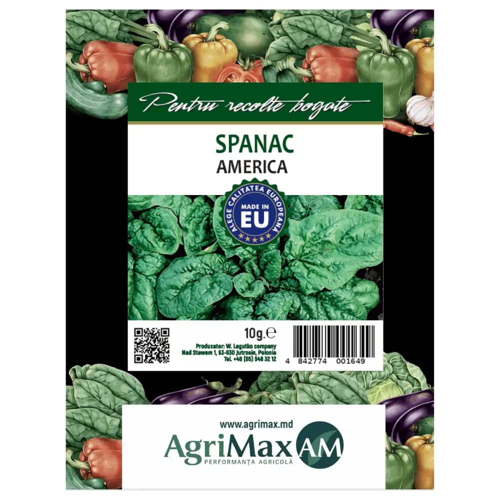 Semințe de Spanac - America, 10 g 1