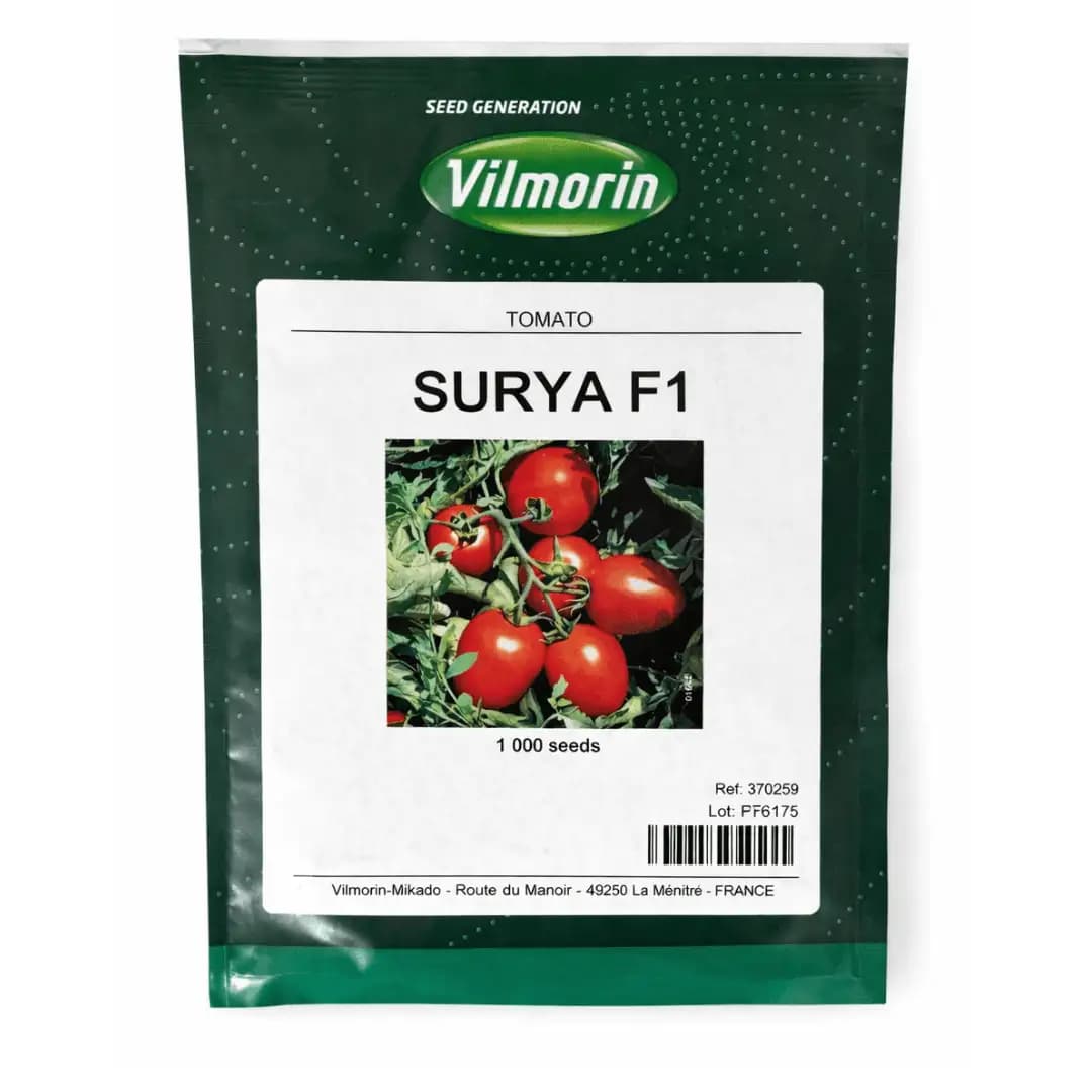 Semințe de roșii Surya F1, 1000 semințe 1