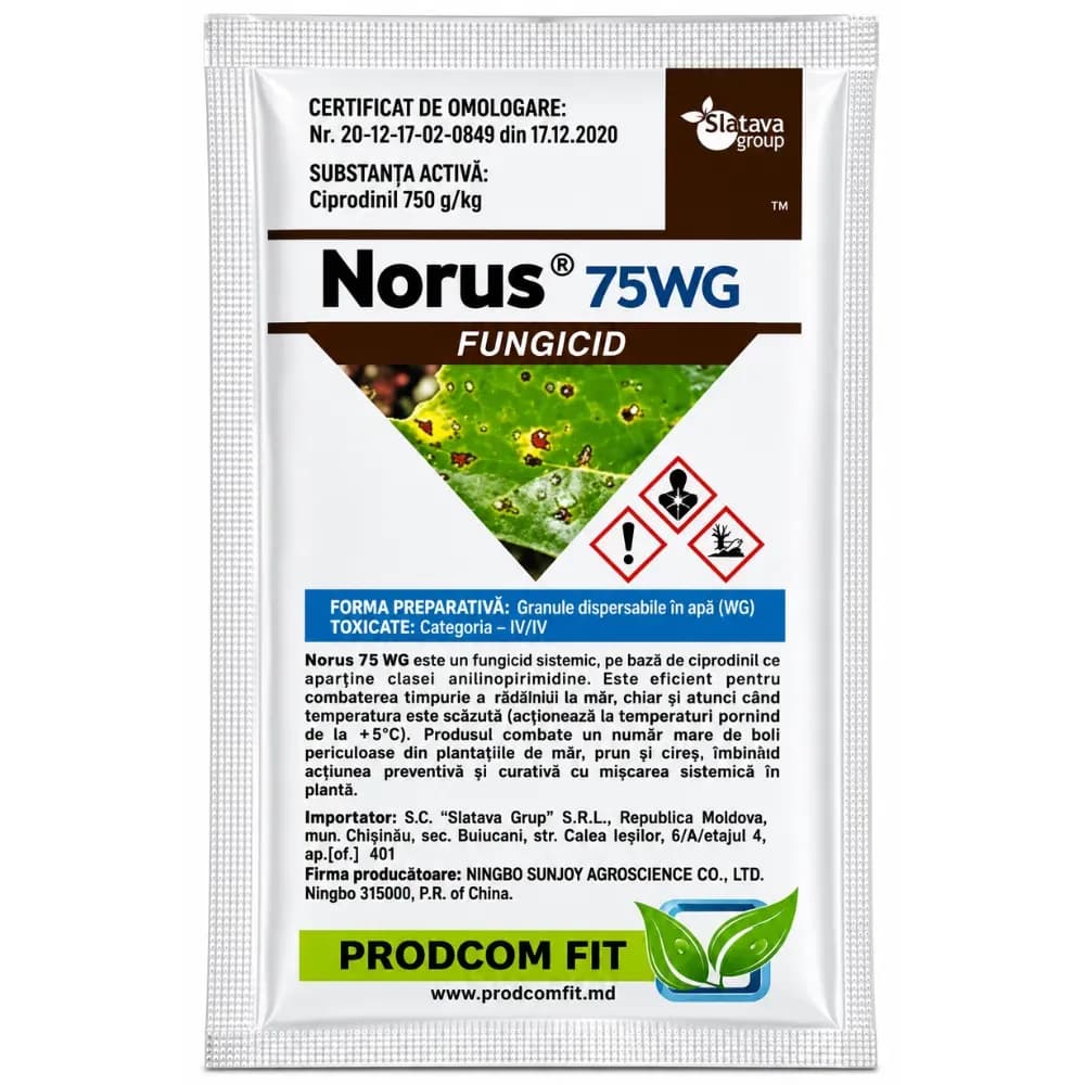 Norus WG,  3 gr 1