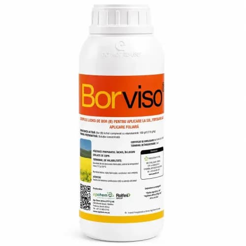 Borviso , 1 L