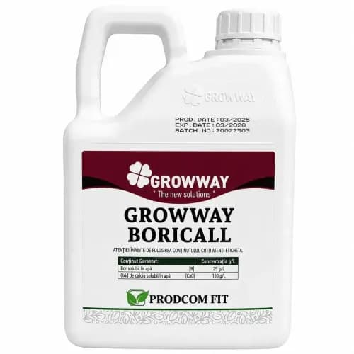 GROWWAY Boricall , 5 L