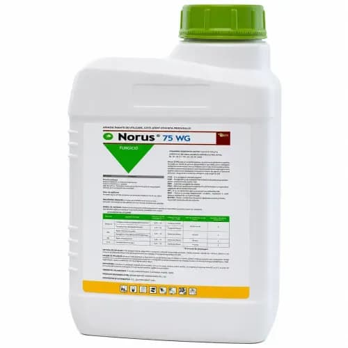Norus WG, 1 kg