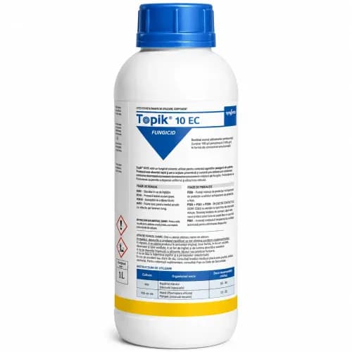 Topik 10 EC, 1 L 