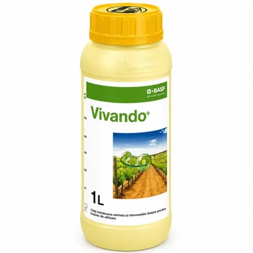 Vivando, 1 L 