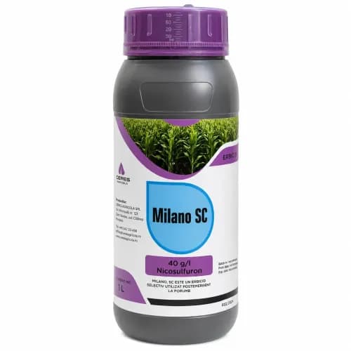 Milano SC, 1 l