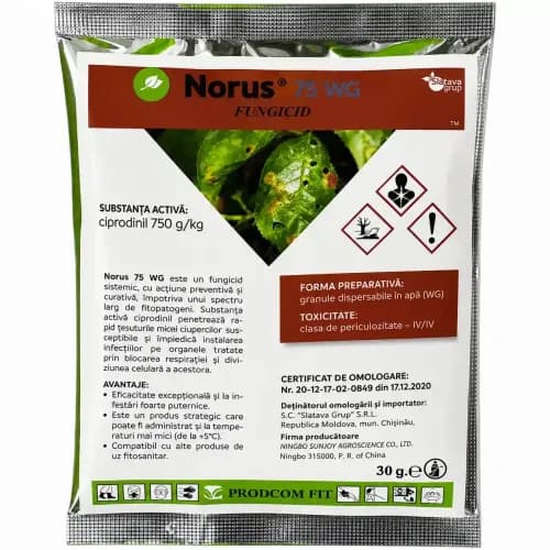 Norus WG,  30 gr