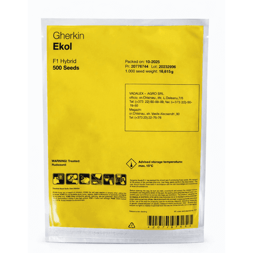 Semințe de castravete Ekol F1, 500 semințe