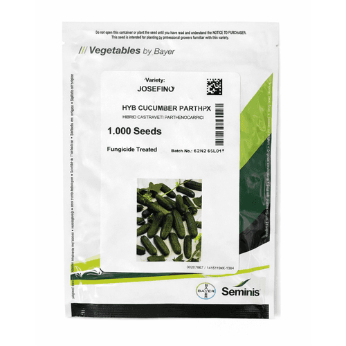Semințe de castraveți Josefino, 1000 semințe