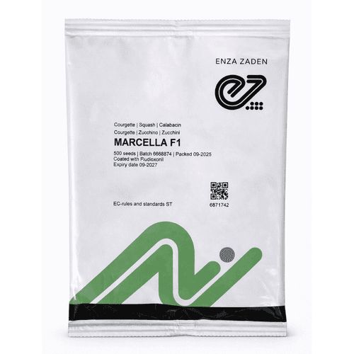 Semințe de dovlecel Marcella F1, 1000 semințe