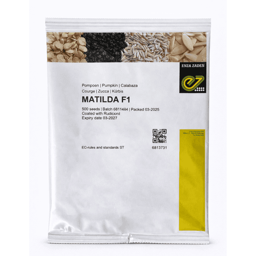 Semințe de dovleac Matilda F1, 500 semințe