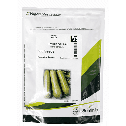 Semințe de zucchini Scilly F1, 500 semințe