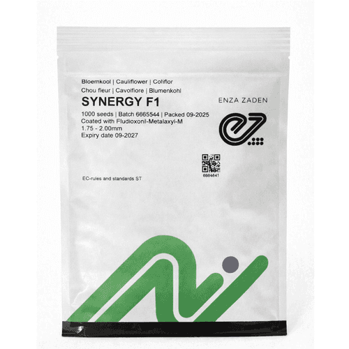 Semințe de conopidă Synergy F1, 1000 semințe