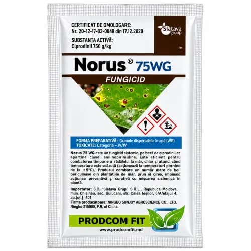 Norus WG,  3 gr
