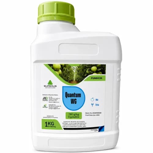QUANTUM WG  ,1 kg