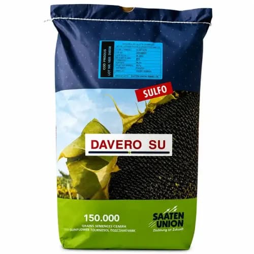 Floarea soarelui DAVERO, 150000 semințe