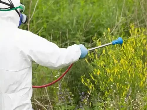 Erbicide (pentru buruieni)