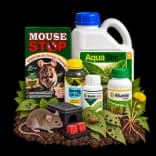 Pesticide