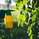 Îngrășăminte și fertilizanți