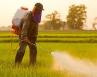 Pesticide